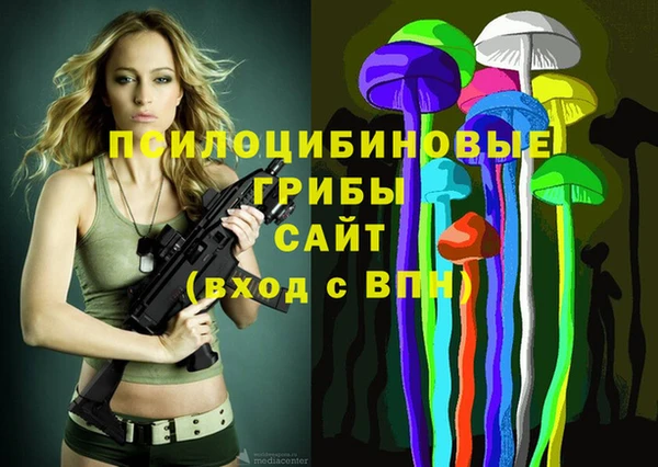 тгк Новокубанск
