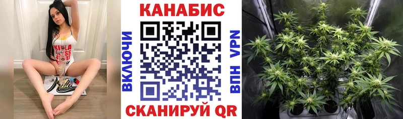 Бошки марихуана сатива  Томск 